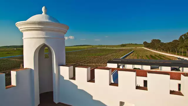 Goditi la campagna portoghese con visita alle cantine da notti