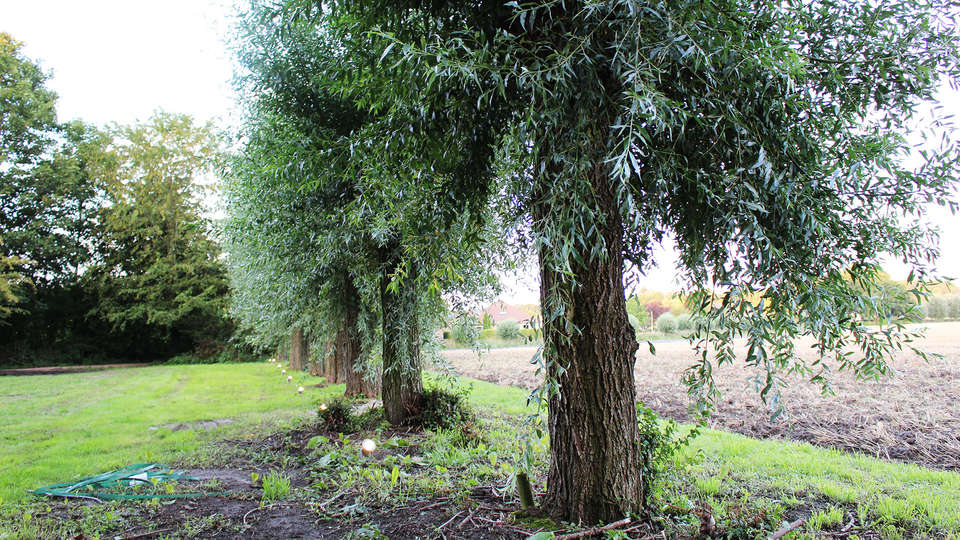 Hotel de Elderschans Aardenburg - EDIT_garden.jpg