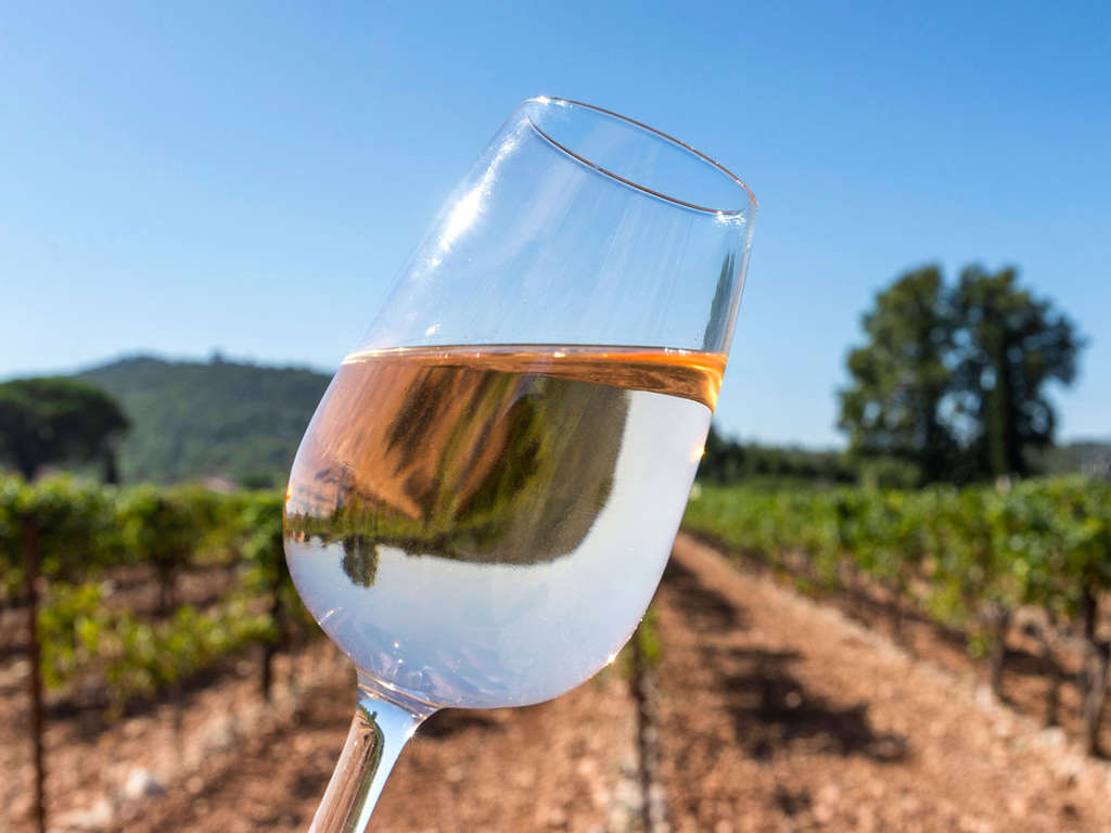 Profitez d'une dégustation de vins et d'un bains à remous privatisé 3*
