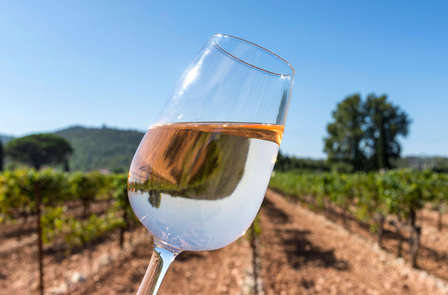 Offre spéciale: Profitez d'une dégustation de vins et accès au jacuzzi privé