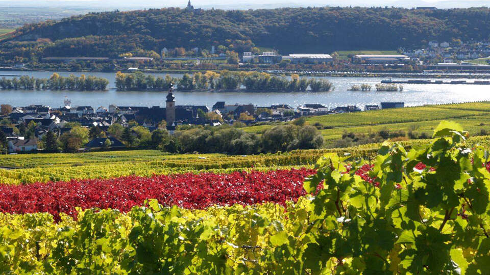 Escapade romantique avec diner dans la region du Rhin