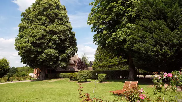 Estancia de relax en un castillo con cena y masaje a 1 hora de París