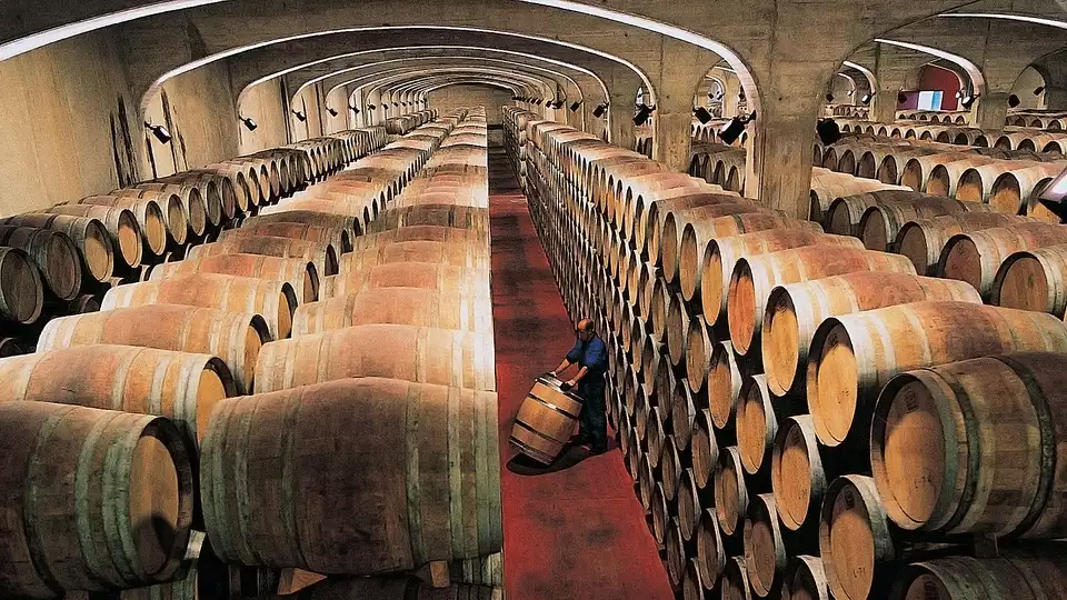Profumo di vino a Logrono con visita a una cantina e una bottiglia di vino