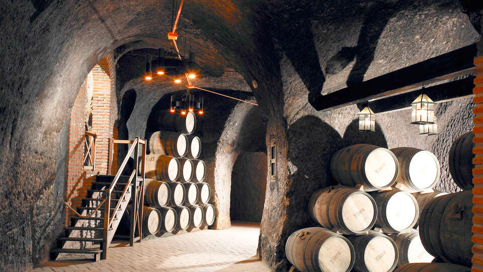 Escapada con Visita a bodega y cata de vino cerca de Valladolid