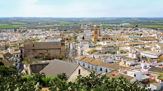 Escapada con Degustación de tapas, copa de vino, visita guiada y parking en Carmona (desde 2 noches)