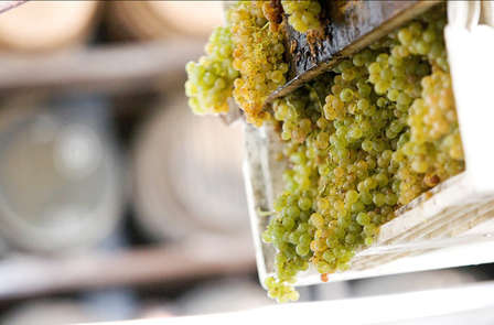 Week-end œnologique avec visites de caves