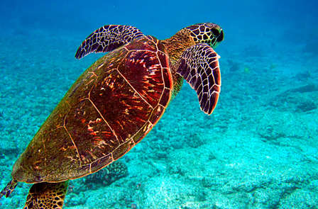 Découvrez l'Aquarium de Saint-Malo le temps d'une escapade !