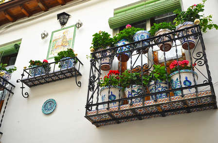 Découverte des quartiers d'Albaicín et du Sacromonte avec un guide officiel, Grenade