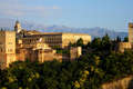 Palacio de Almagra