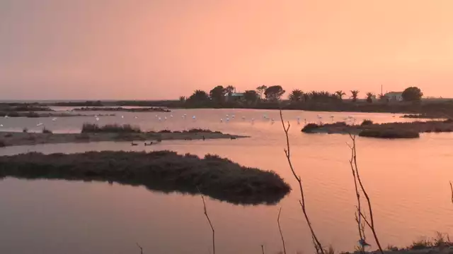 Vakantie in l'Ampolla: aan zee met een boottocht op de Ebro Delta inbegrepen