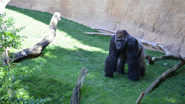 Especial Familias: Apartamento con cocina y entradas al Bioparc Fuengirola