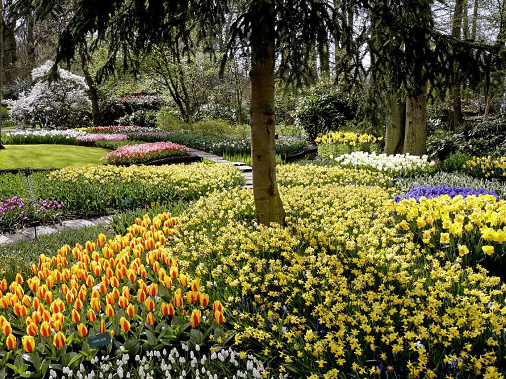 Séjour confortable au bord de la mer avec accès à Keukenhof ! - 4* - 1