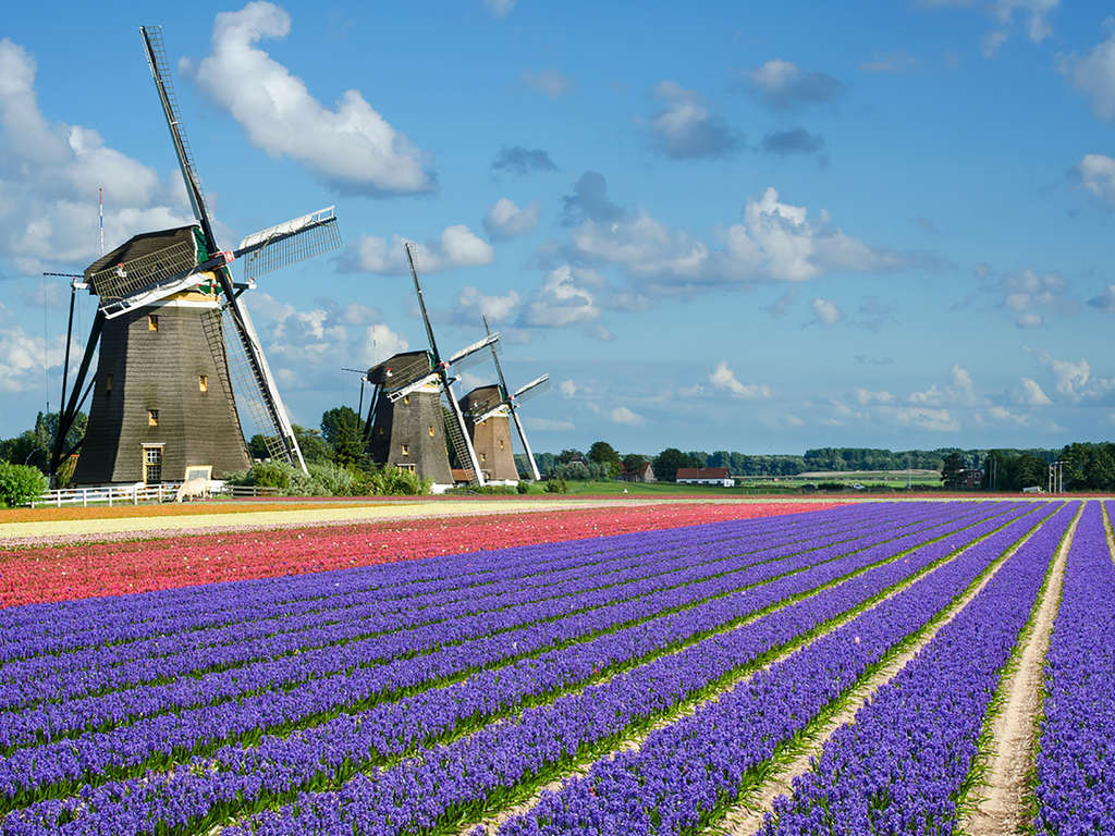 Beleef Keukenhof op zijn mooist - 4* - 18