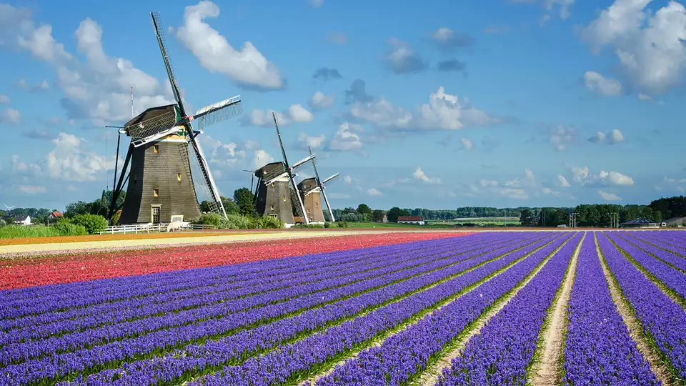 Sejour de luxe a Amsterdam avec bien-etre et acces a Keukenhof