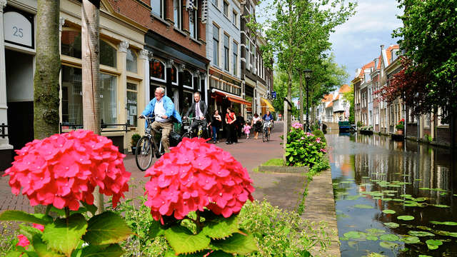 Descubre Delft con visita guiada y crucero por los canales