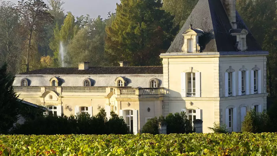 Degustacion con visita al Chateau Larrivet Haut-Brion cerca de Burdeos