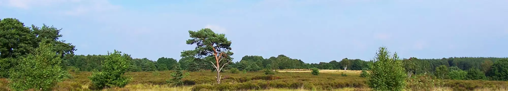 Weekendje weg in België in de Limburgse Kempen