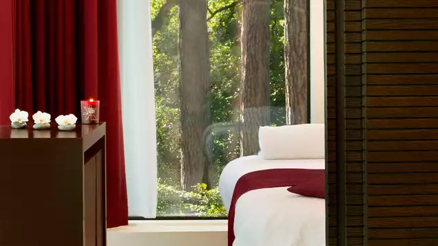 Sumergete en la naturaleza del bosque de Soigne