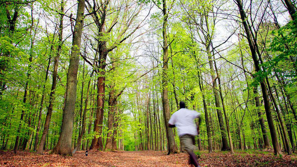 Séjour au coeur de la forêt de Soignes avec location de vélo - 4* - 22