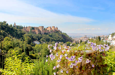 Visite guidée de l’Albaicin et du Sacromonte