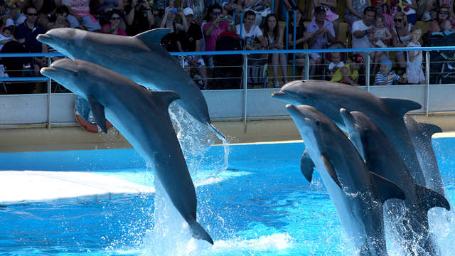Relax en las Antibas con entradas para el parque Marineland