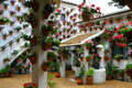 Hotel Las Casas de la Juderia de Cordoba
