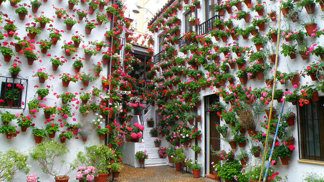 Hotel Las Casas de la Juderia de Cordoba