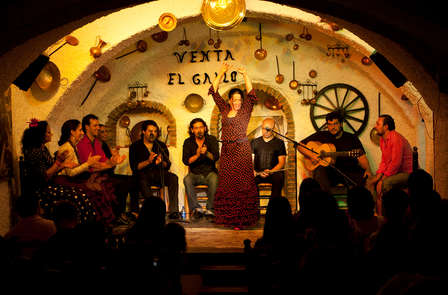 Flamenco dans les grottes du Sacromonte et séjour dans un palace andalou à Grenade