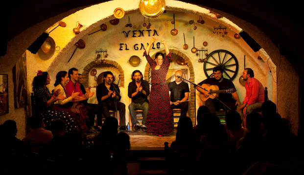 Pure flamenco en charme in een paleis in Granada