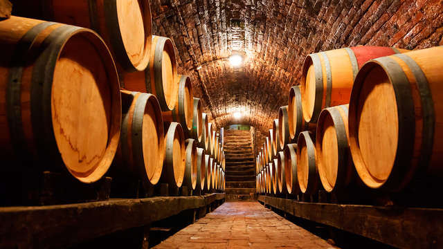 Visita de la bodega Torres