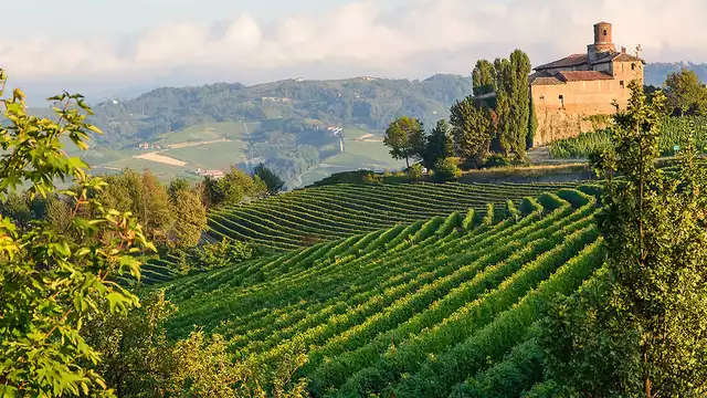 Alójese en Langhe con desayuno y acceso a la bodega.