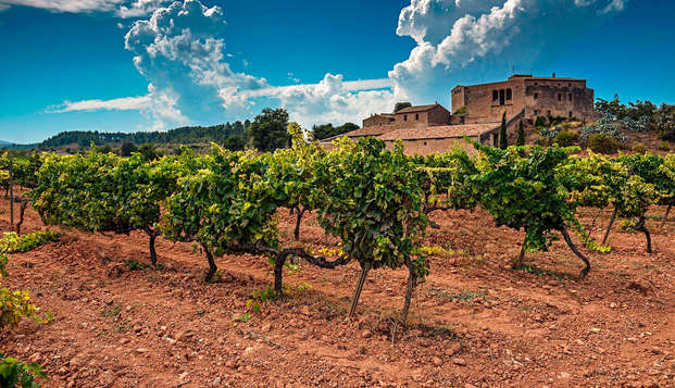 Bezoek de Torres-wijnhuizen in Catalonië