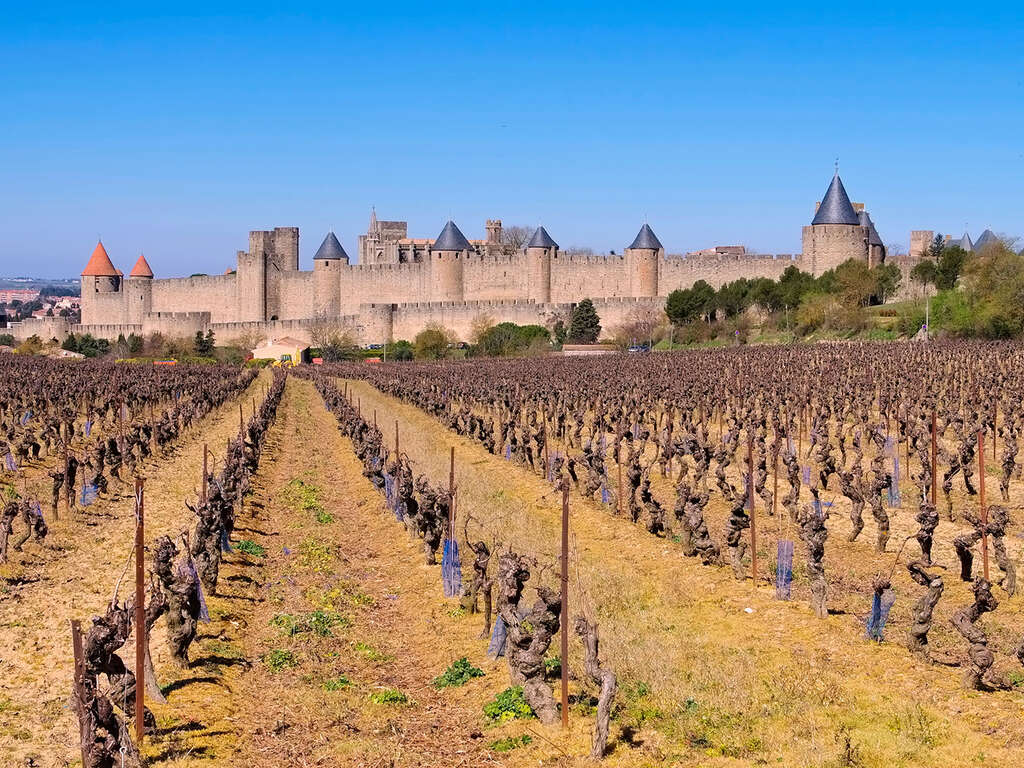 Week-end avec dîner et entrée au château et remparts de Carcassonne - 3* - 1