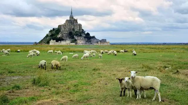 Découvrez Rennes et l'Abbaye du Mont-St-Michel le temps d'un week-end