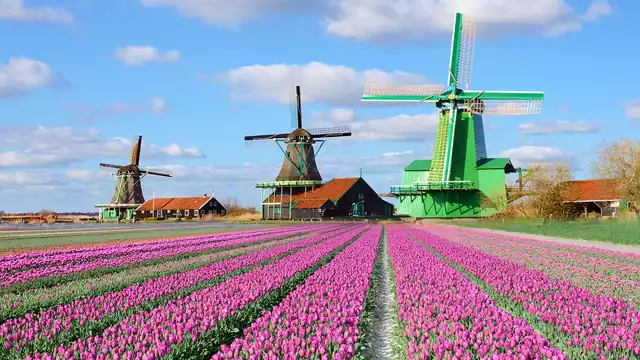 Weekendje weg met de familie vlakbij Amsterdam