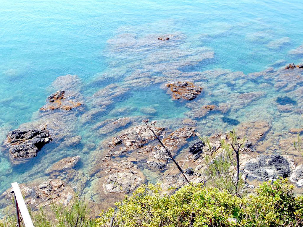 Italie - Toscane - Castiglioncello - Vacances sur la côte en Toscane dans un hôtel vue mer - 3*