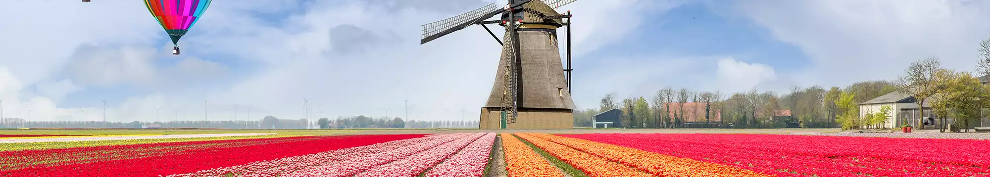 Week-end & citytrip Keukenhof | Nos séjours