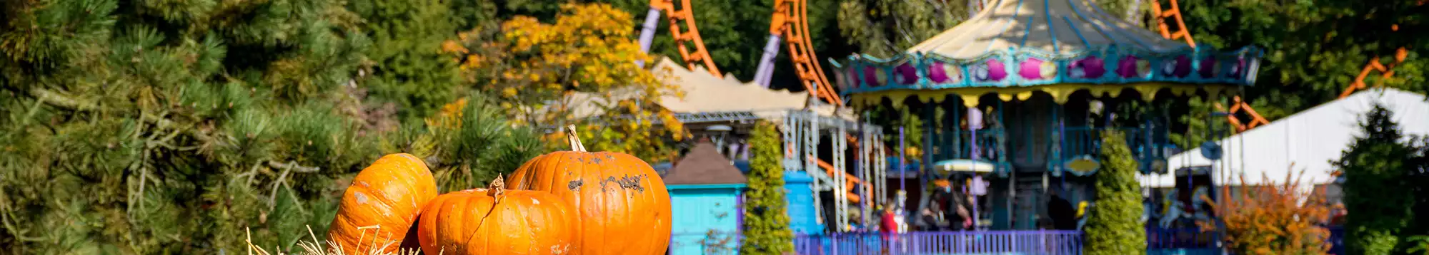 Week-end & citytrip Walibi Belgium | Nos séjours