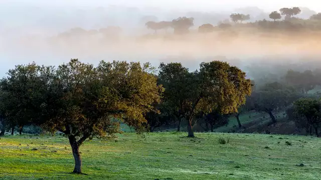 Beleef een onvergetelijk weekend in een hotel in Extremadura in het midden in de natuur!
