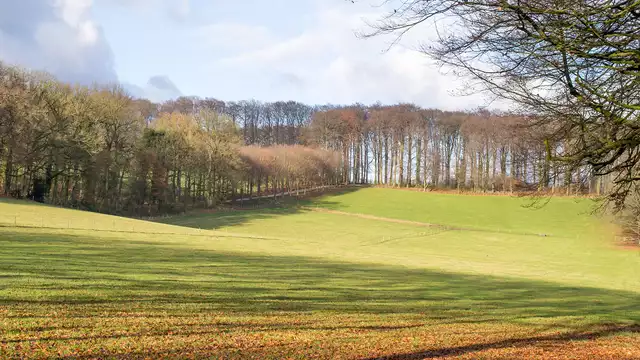 Overnachting in de prachtige Bilderbergbossen van Oosterbeek, vlakbij Arnhem