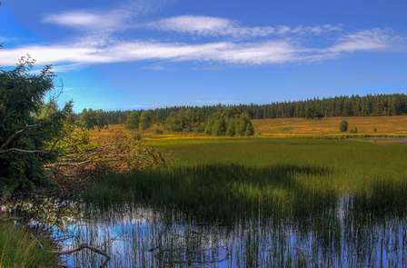Nuitée au cœur de la magnifique réserve naturelle des Hautes Fagnes