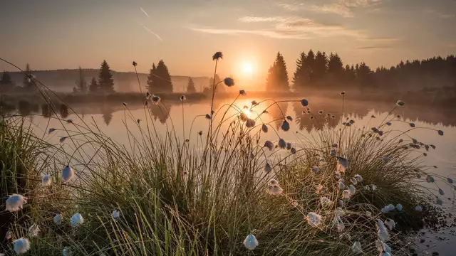 Overnachting in het hart van het prachtige natuurgebied de Hoge Venen