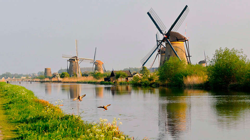Kom helemaal tot rust in een groene omgeving en geniet van toegang tot de spa