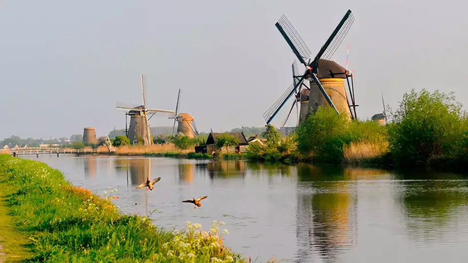 Kom helemaal tot rust in een groene omgeving en geniet van toegang tot de spa