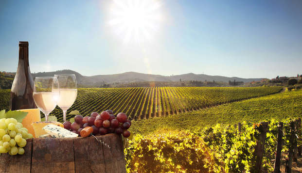 Escapada enológica con visita a bodega  en el Alt Empordà