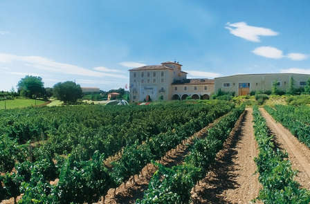 Rondleiding en wijnproeverij in Castilla-León (vanaf 2 nachten)