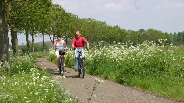 Fuga a 4* a Weert, una città vibrante circondata da una natura meravigliosa