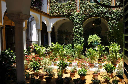 Week-end avec visite culturelle dans le quartier de Triana