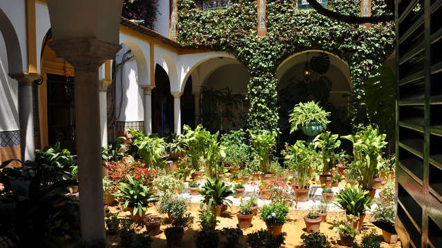 Il fascino di Siviglia e una visita al quartiere di Santa Cruz