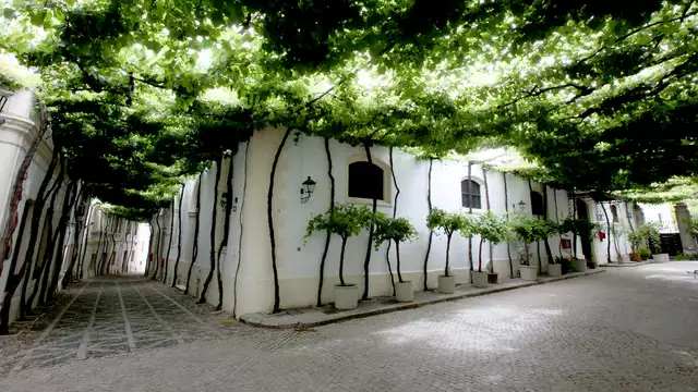 Escápate a Puerto de Santa María con cena y spa incluidos